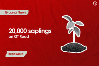 NHA to plant 20,000 saplings on GT Road