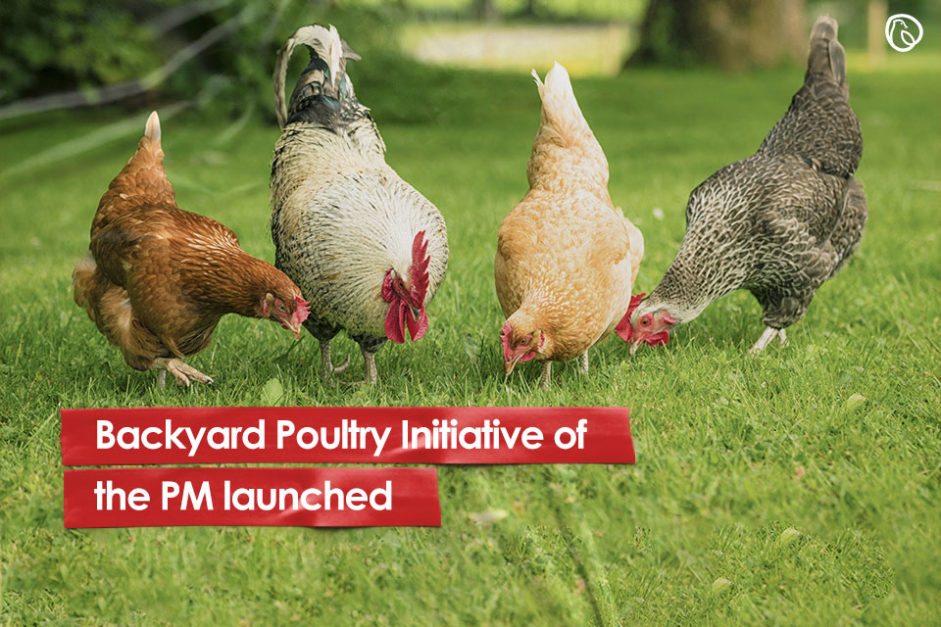 Backyard Poultry Initiative of the PM launched