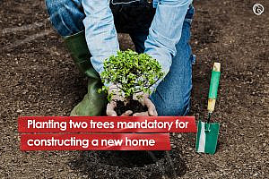 Treen Plantation mandatory for constructing a new house
