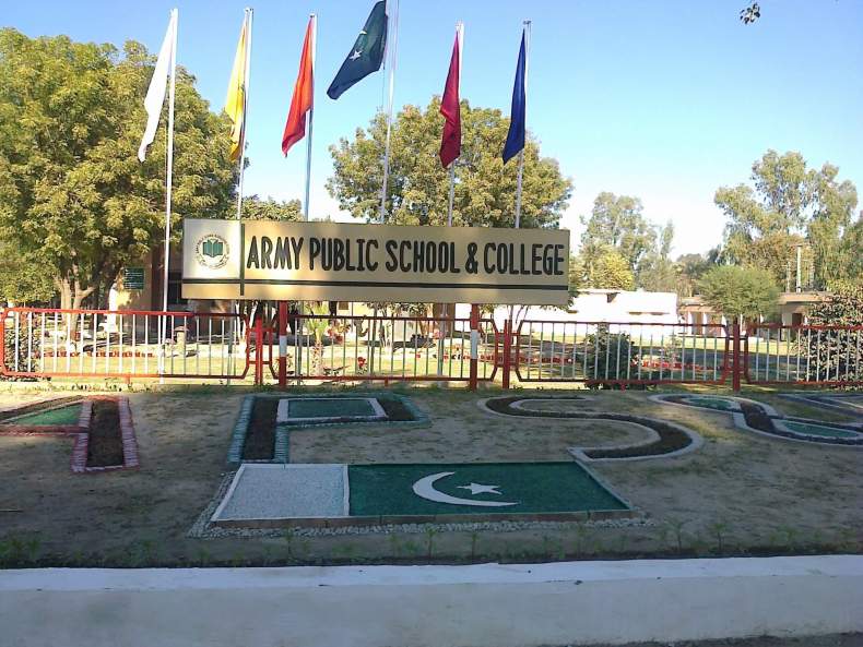 army public school aps