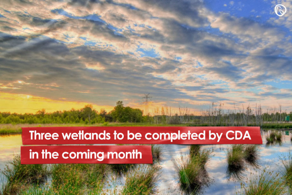 Three wetlands to be completed by CDA in the coming month