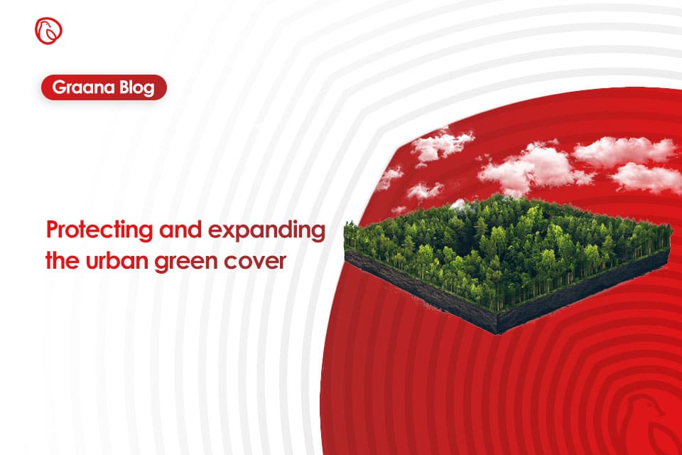 Urban green cover