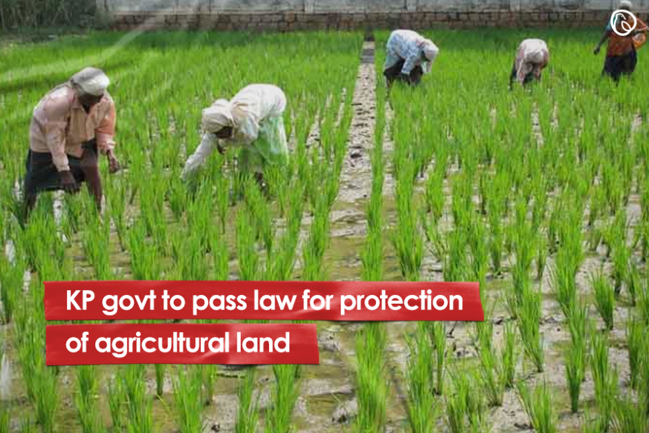KP govt to pass law for protection of agricultural land