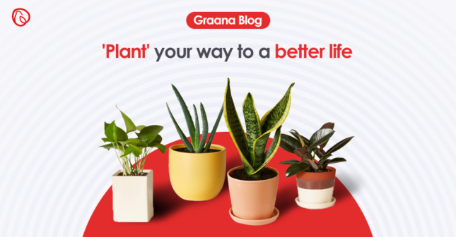 Plant Your Way To A Better Life Graana Com