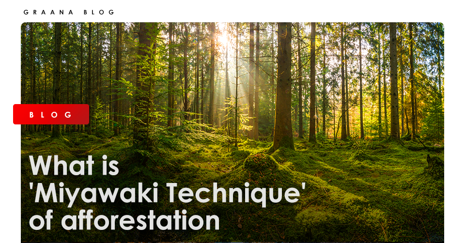 What is ‘Miyawaki Technique’ of afforestation?
