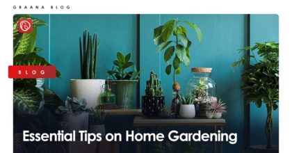 Essential Tips on Home Gardening