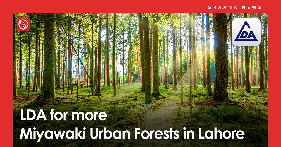 LDA for more Miyawaki Urban Forests in Lahore
