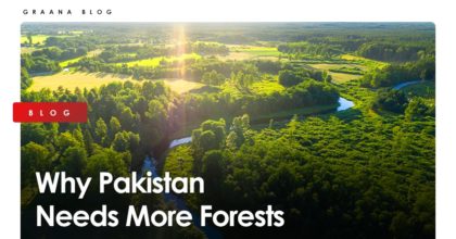 Why Pakistan Needs More Forests