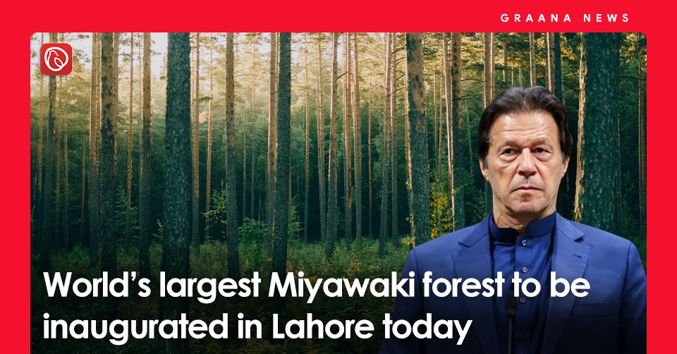 World’s largest Miyawaki forest to be inaugurated in Lahore today