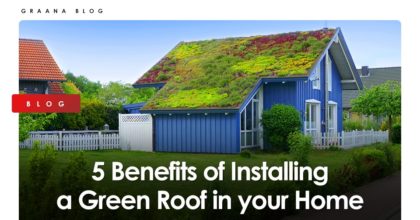 5 Benefits of Installing a Green Roof in Your Home