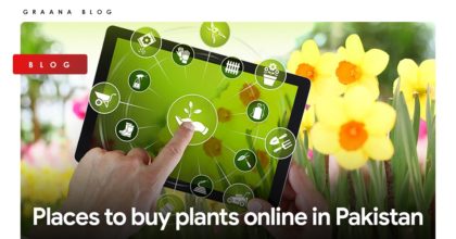 Places to buy plants online in Pakistan