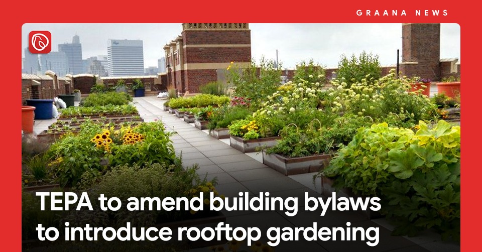 TEPA to amend building bylaws to introduce rooftop gardening