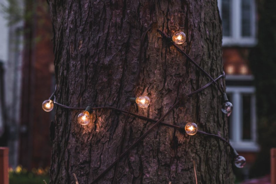 Fairy lights wrapped around the tree - lawn decoration ideas 