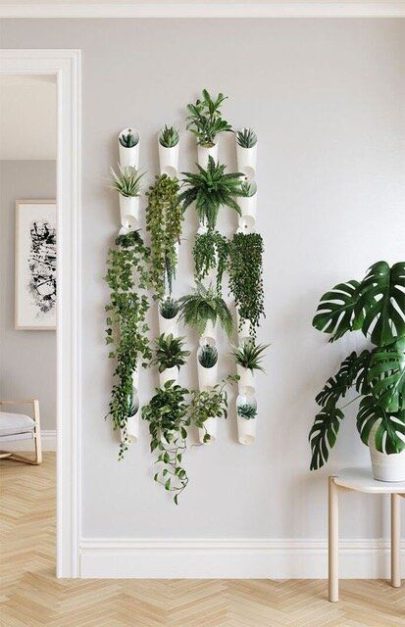hanging plants on a wall