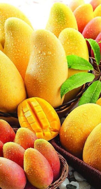 Juicy ripe yellow mangoes sprayed with water- National fruit of Pakistan