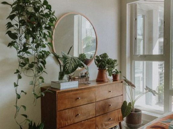 this is an image of bedroom plants which are one of the DIY ideas on how to make your bedroom more cosy