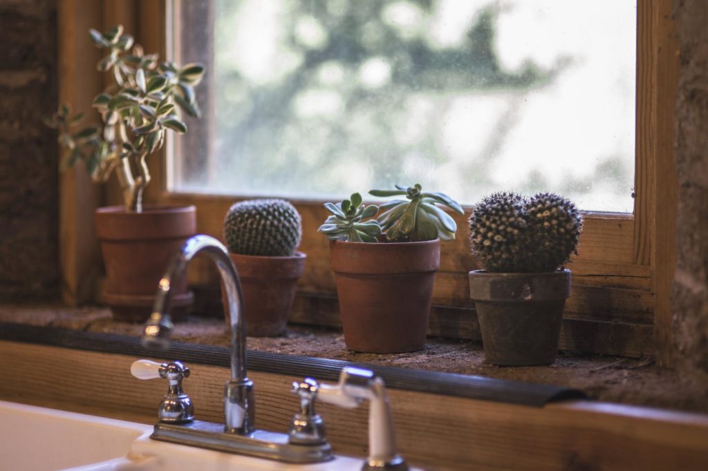 Home Décor Should Incorporate More Indoor Plants!