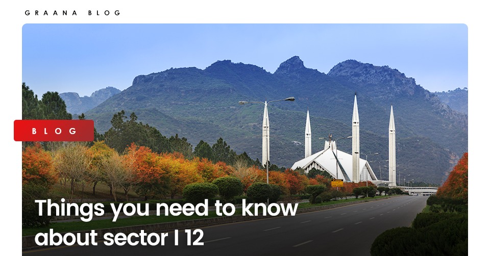 Things you need to know about sector I 12