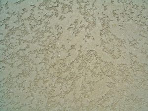 How to Clean Textured Walls | Graana.com