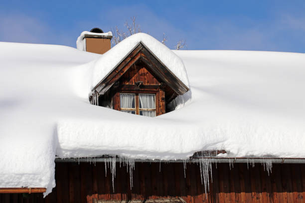 ایک گھر کی چھت پر جمی ہوئی برف