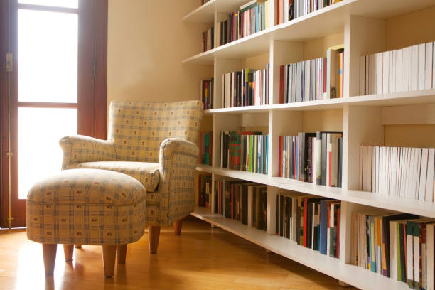 گھر میں تیار کردہ لائبریری کا منظر