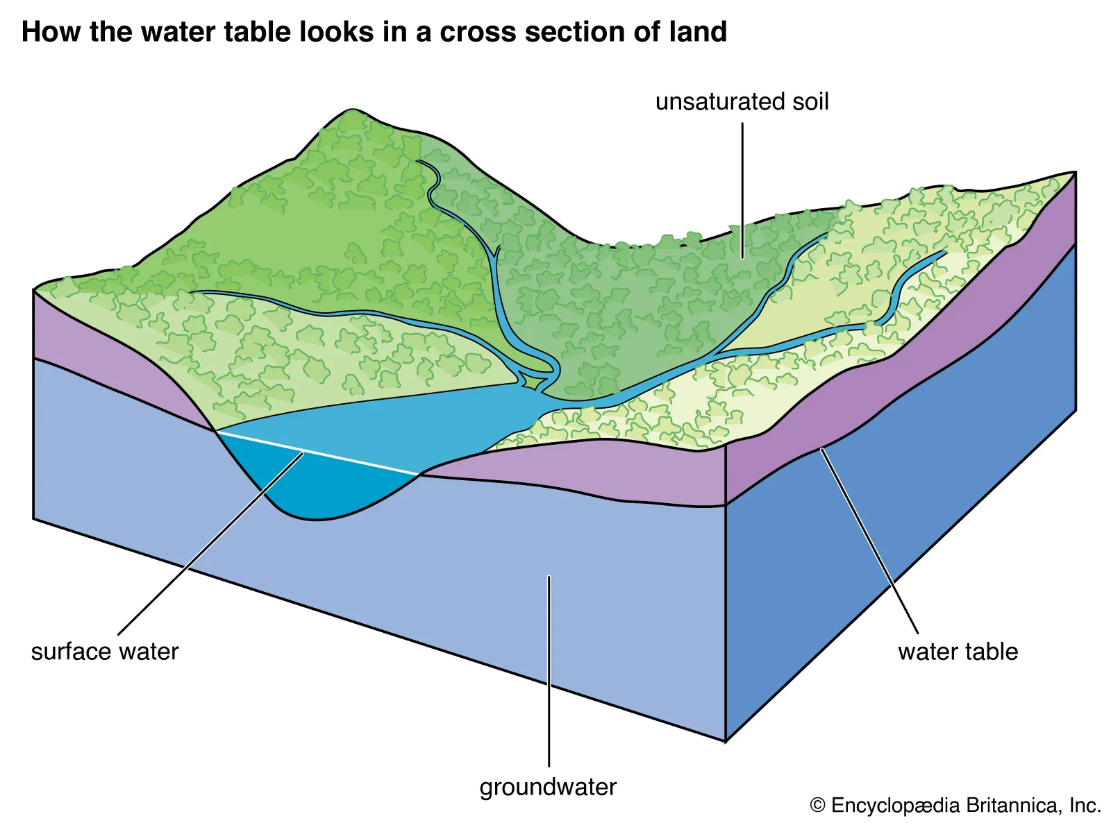 water table level