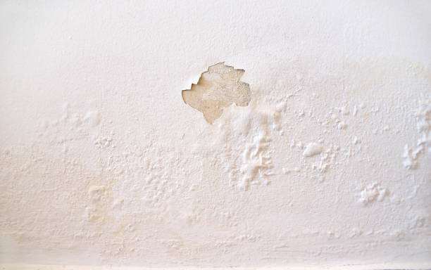 سفید پینٹ والی سیم زدہ دیوار