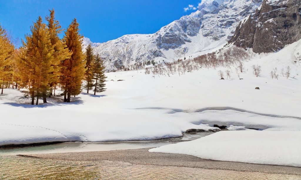 Naltar valley offers an exquisite ski resort.