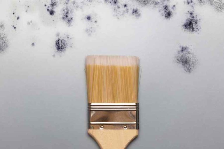 A Guide to Anti Mould Paint Colours