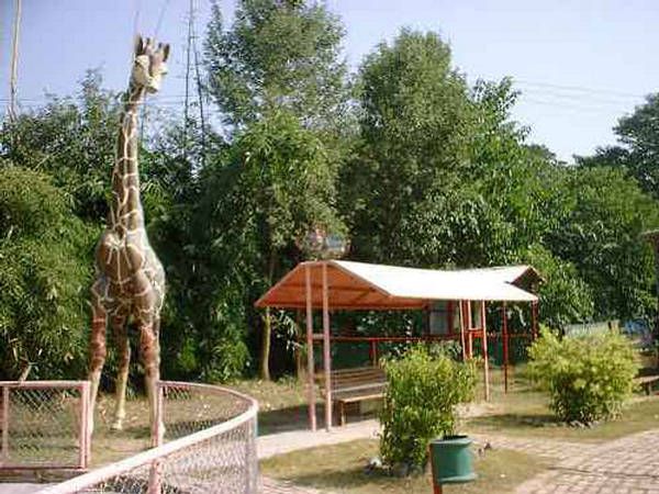 Ayub National Park one of the biggest parks in Pakistan