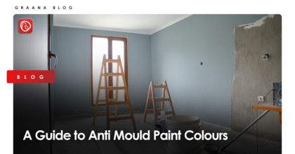 A Guide to Anti Mould Paint Colours