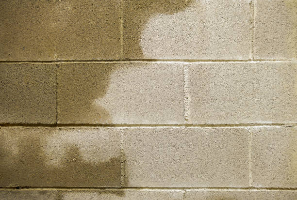 سفید اینٹوں پر مشتمل بارش کے پانی سے سیم زدہ دیوار