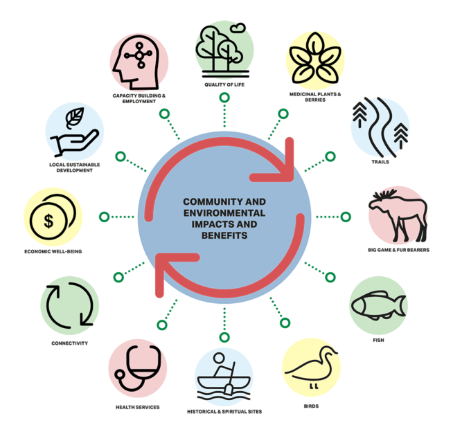 An infographic showing the aspects of environmental impact asessment