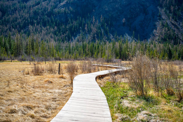 new wooden path to hills