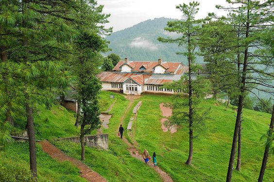 Nathia gali in Galiyat, KPK