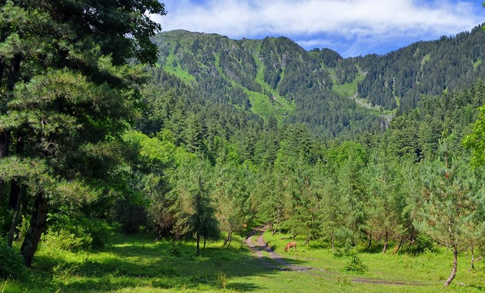 Manshi wildlife Sanctuary in Pakistan