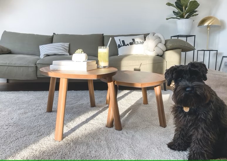 carpet flooring in lounge 