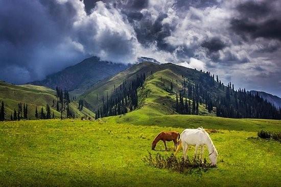 thandiani hill station is famous for its lush green view