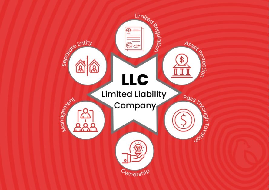 Infographic showing characteristics of a limited liability company