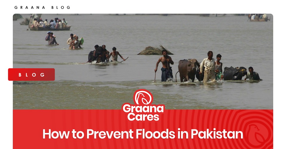 how to prevent floods in pakistan