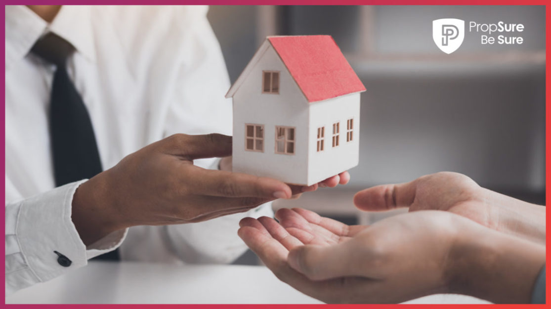 a photo of a toy house displayed as immovable property