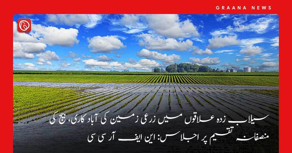 سیلاب زدہ علاقوں میں زرعی زمین کی آباد کاری، بیج کی منصفانہ تقسیم پر اجلاس: این ایف آر سی سی