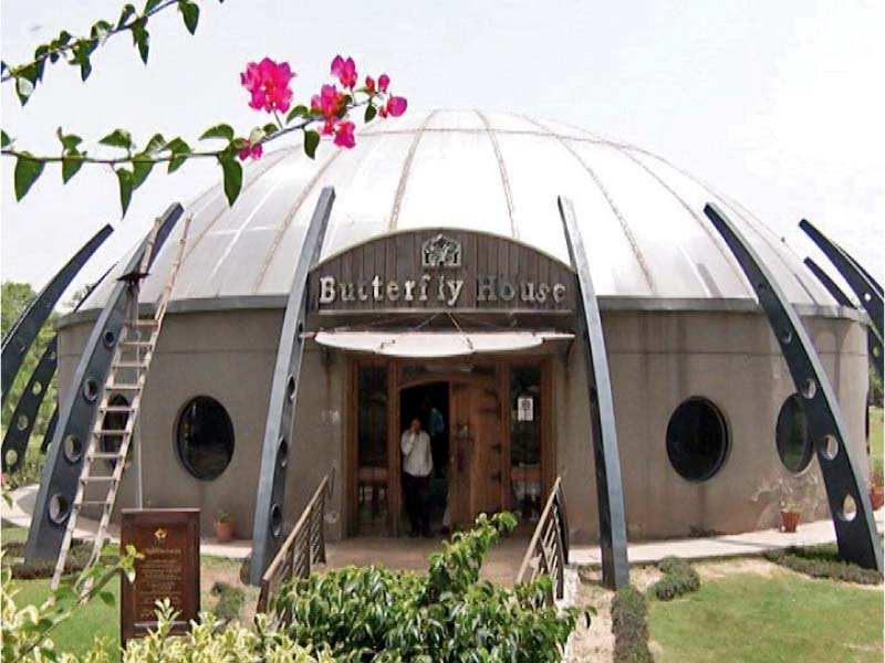 Butterfly house in Jallo park