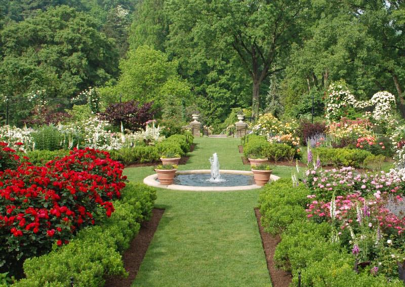 Garden covered with Grass and flower