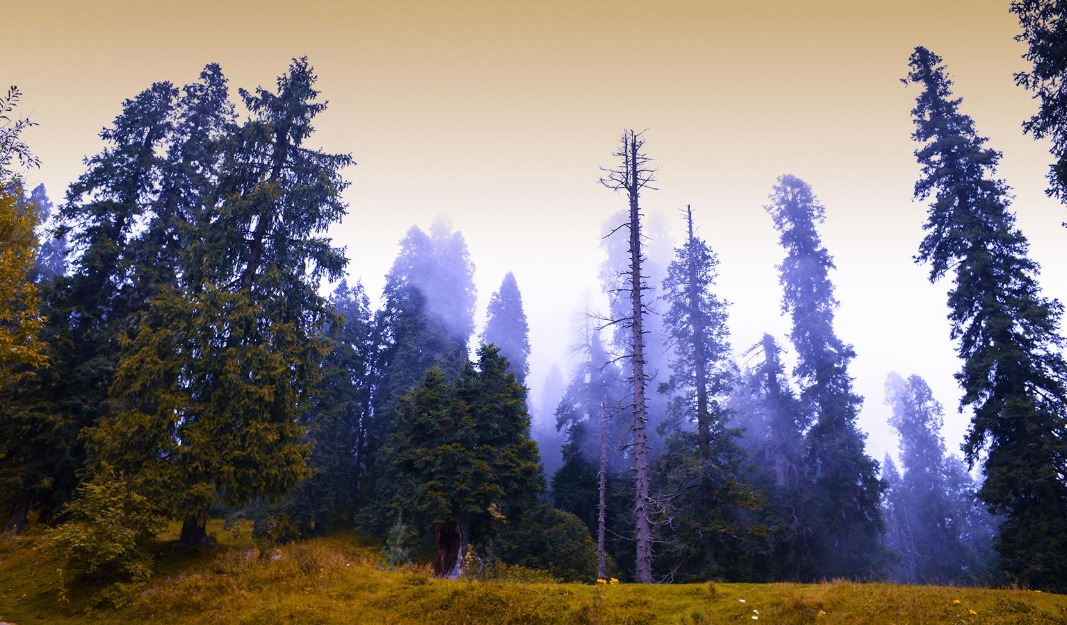 Lalazar Park in Nathia Gali