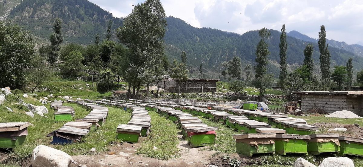 Thal Village a spot in kumrat valley