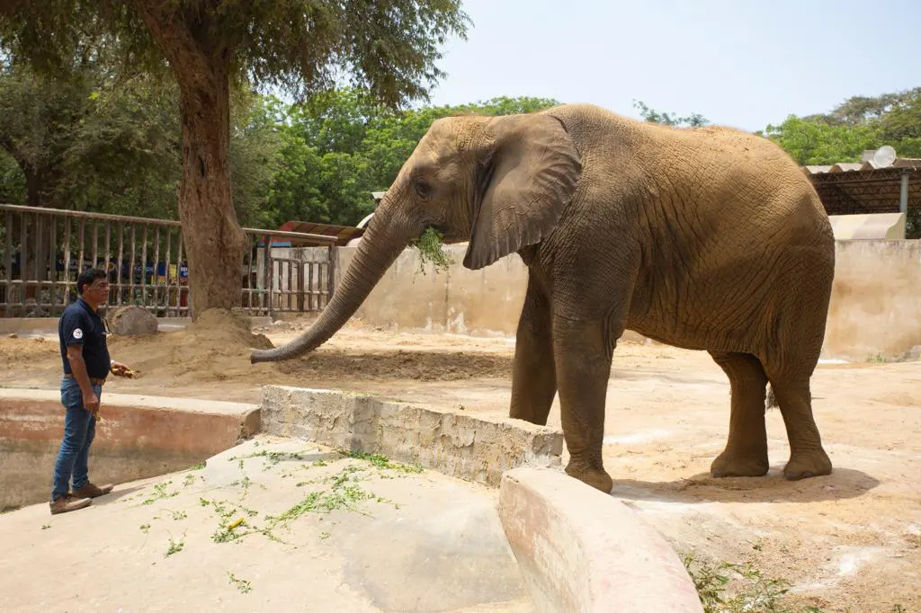 Madhubala in Karaci Zoo