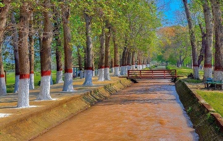 Changa Manga Forest, Kasur, Punjab, Pakistan 