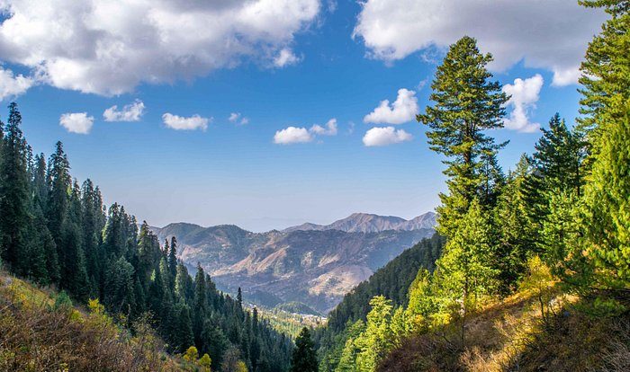 Beautiful scenery at Nathia Gali