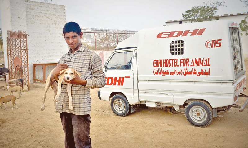 A boy holding rescued dog by Edhi Animal Services